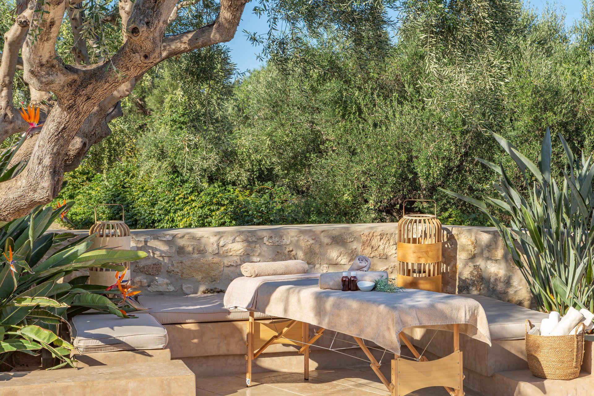 A massage table set in the garden under an old olive tree