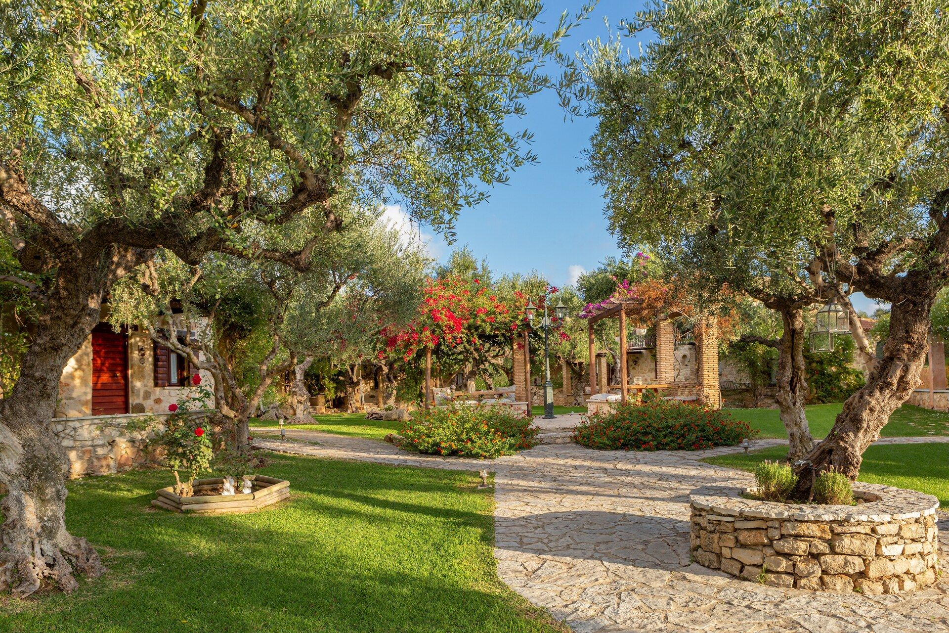 A stone path through old olive trees and bougainvillea, with houses of the village behind