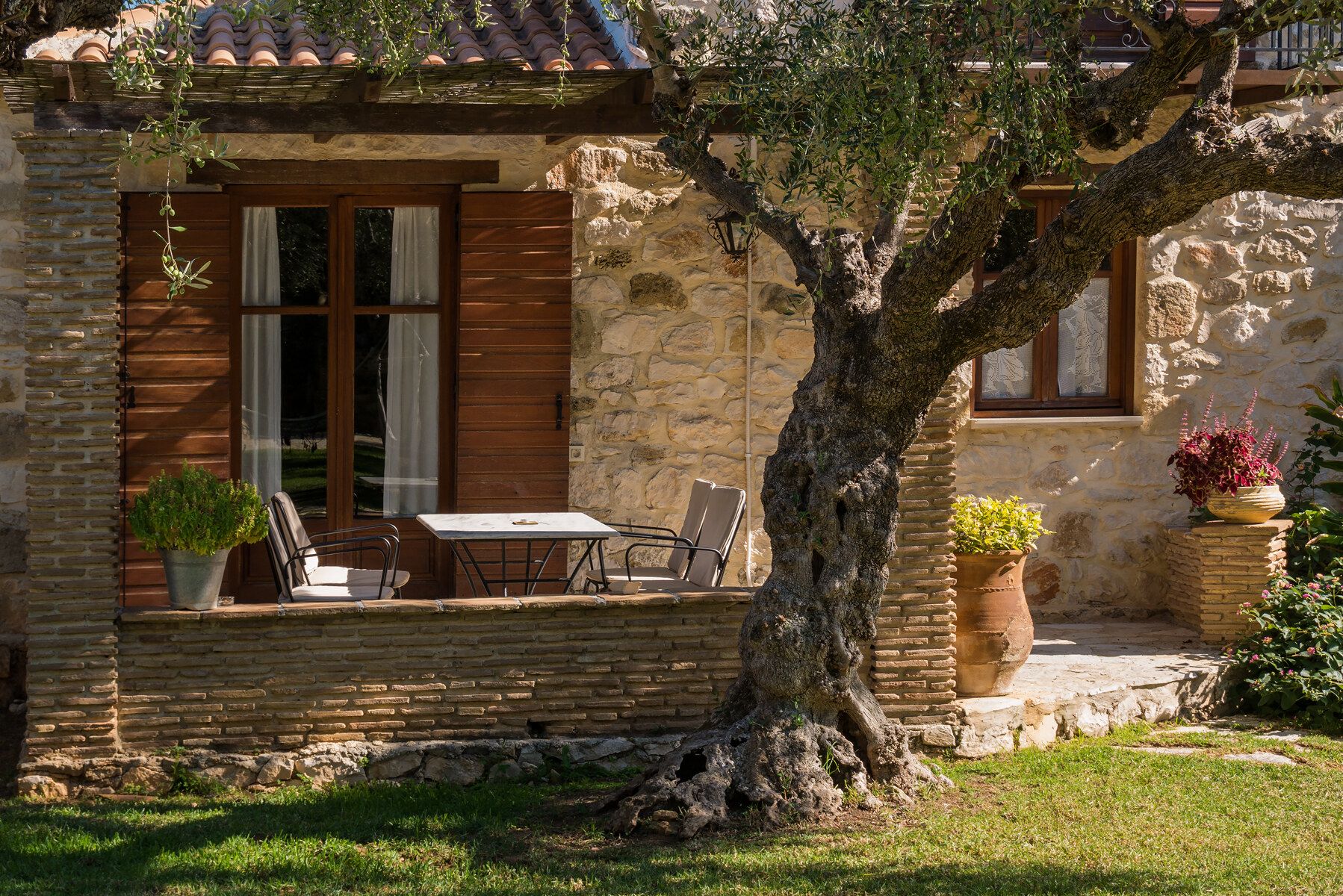 A stone house with wooden shutters and an old olive tree in front