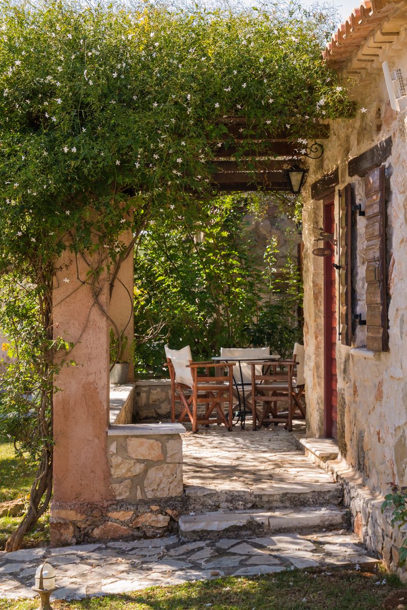 A stone path under a pergola covered in green